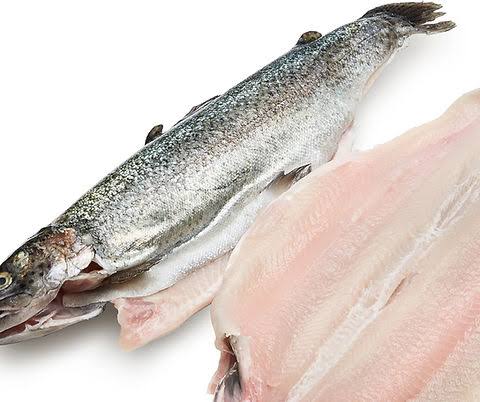 White Butterflied Trout Fish Fillet