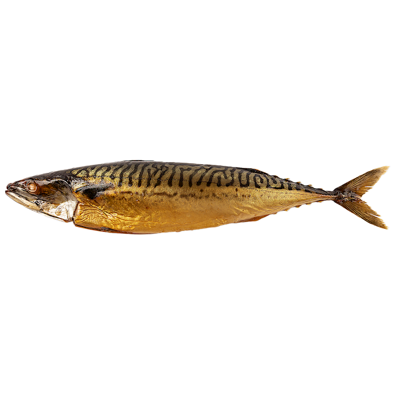 HAIFA COLD SMOKED MACKEREL