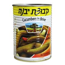 Kvuzat Yavne Cucumber In Brine (7-9 Large)