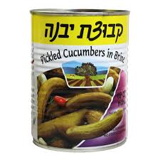 Kvuzat Yavne Mini Cucumber In Brine (18-25